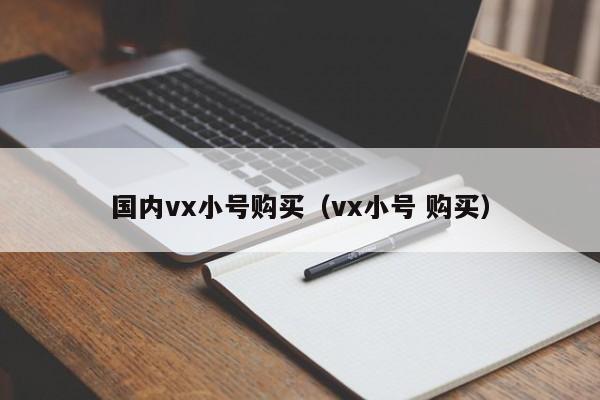 国内vx小号购买（vx小号 购买）
