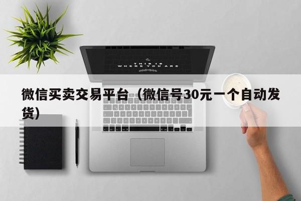 微信买卖交易平台（微信号30元一个自动发货）