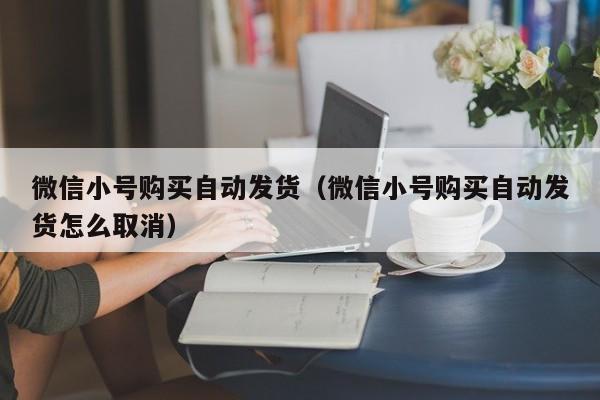 微信小号购买自动发货（微信小号购买自动发货怎么取消）