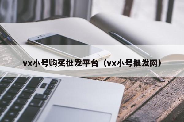 vx小号购买批发平台（vx小号批发网）