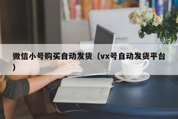 微信小号购买自动发货（vx号自动发货平台）