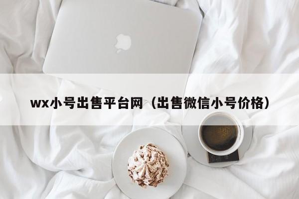 wx小号出售平台网（出售微信小号价格）
