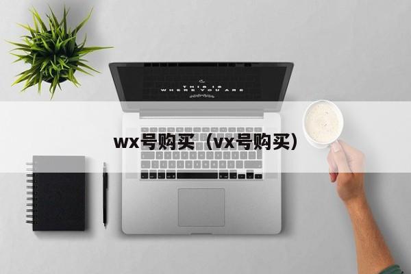 wx号购买（vx号购买）