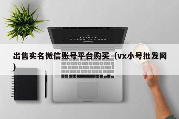 出售实名微信账号平台购买（vx小号批发网）