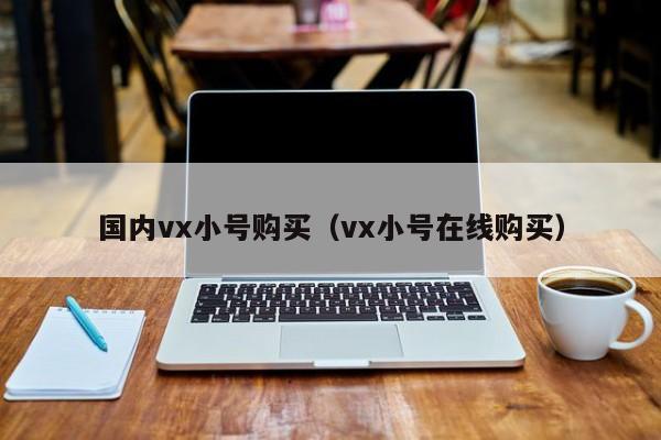 国内vx小号购买（vx小号在线购买）