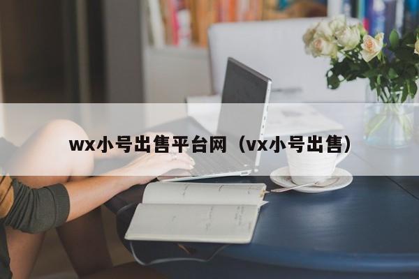 wx小号出售平台网（vx小号出售）
