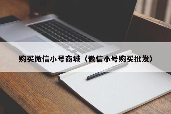 购买微信小号商城（微信小号购买批发）
