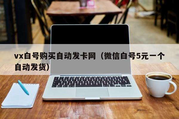 vx白号购买自动发卡网（微信白号5元一个自动发货）