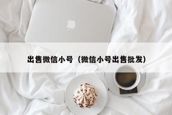 出售微信小号（微信小号出售批发）