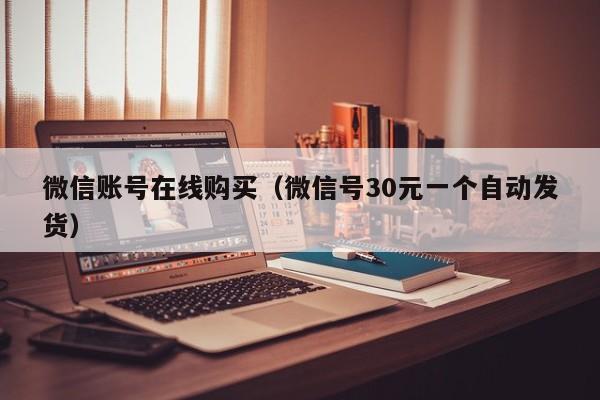 微信账号在线购买（微信号30元一个自动发货）